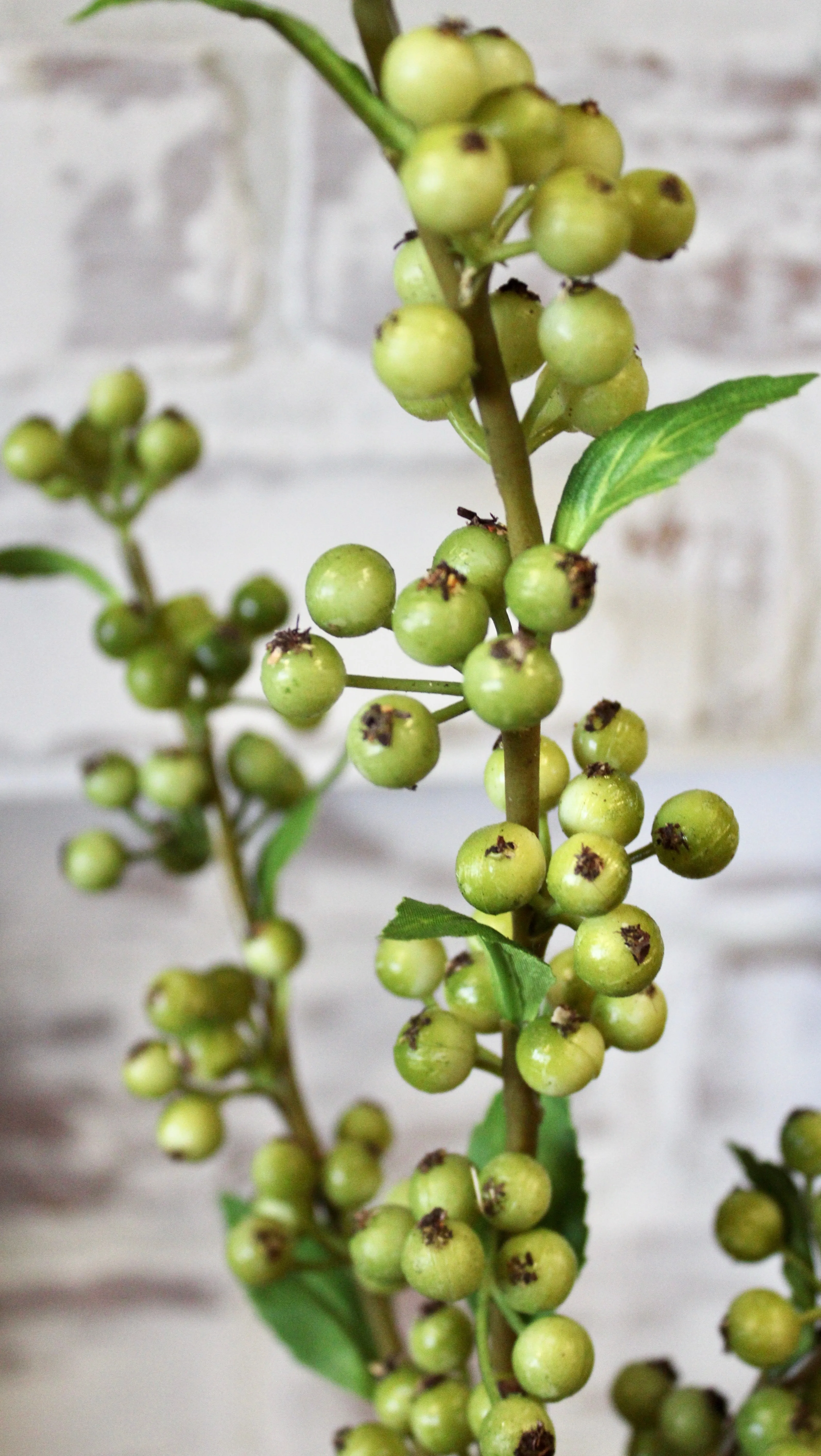 Buckthorn Berry Spray