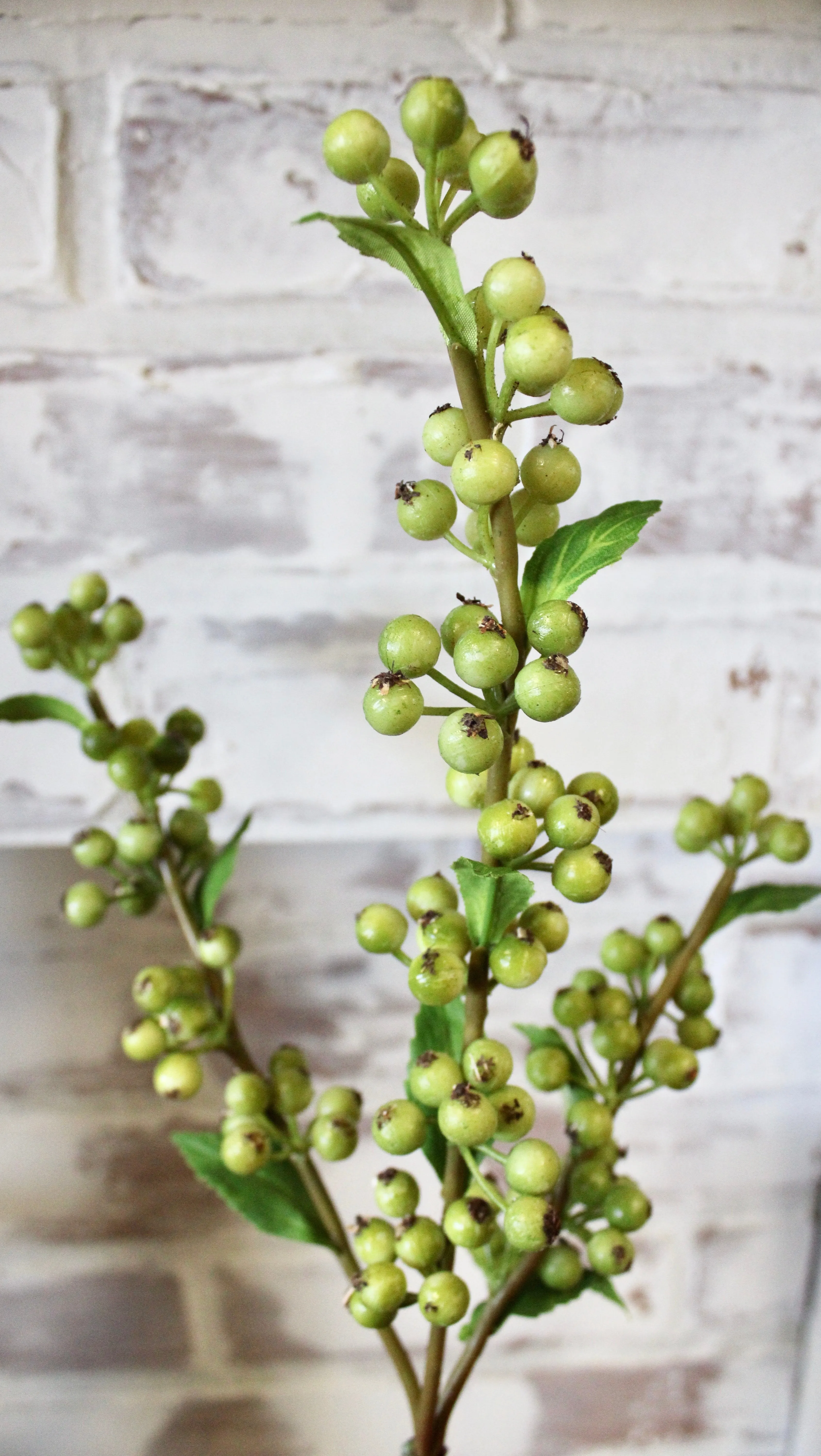 Buckthorn Berry Spray