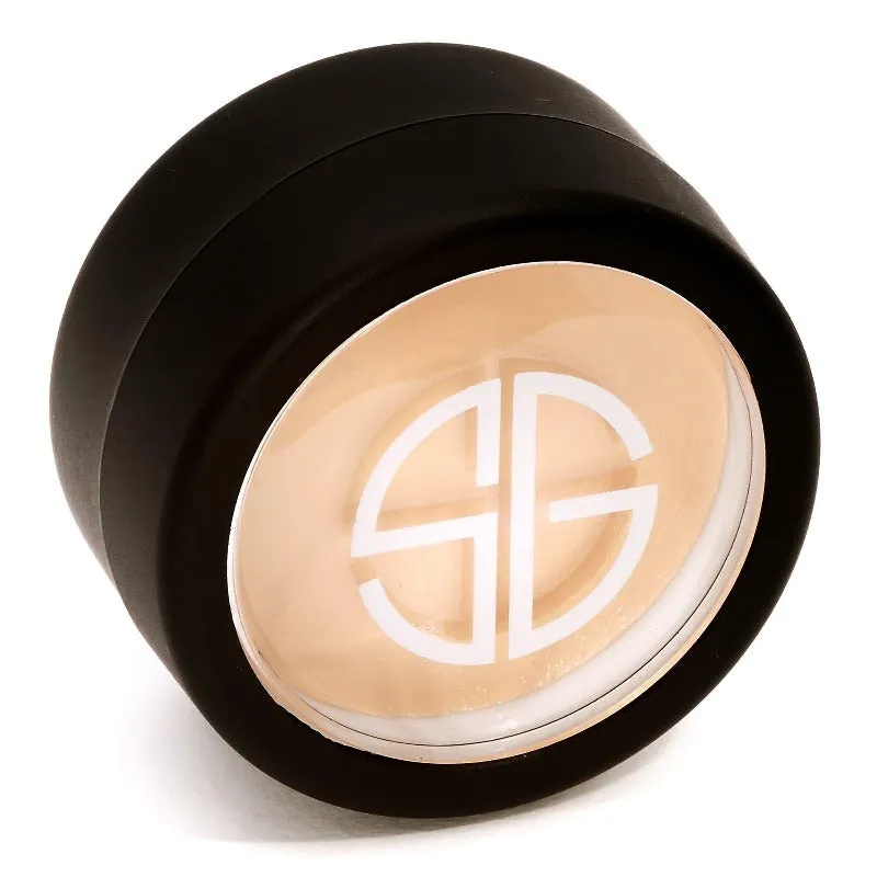 HIDDEN AGENDA CONCEALER