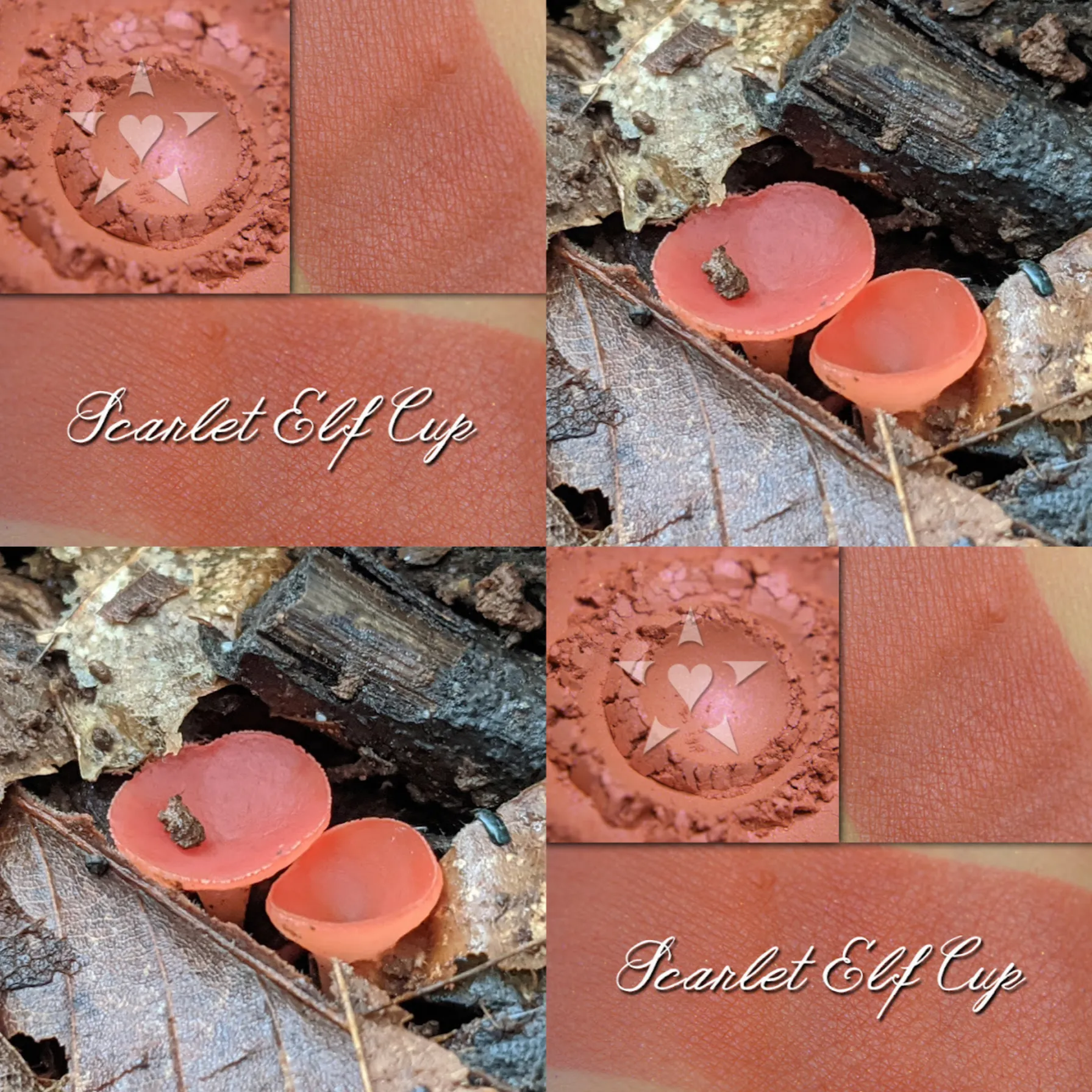 SCARLET ELF CUP - Soft Lustre Blush