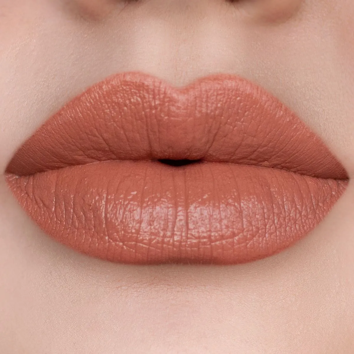 SOSU Cosmetics Nude Lip Kit Stripped